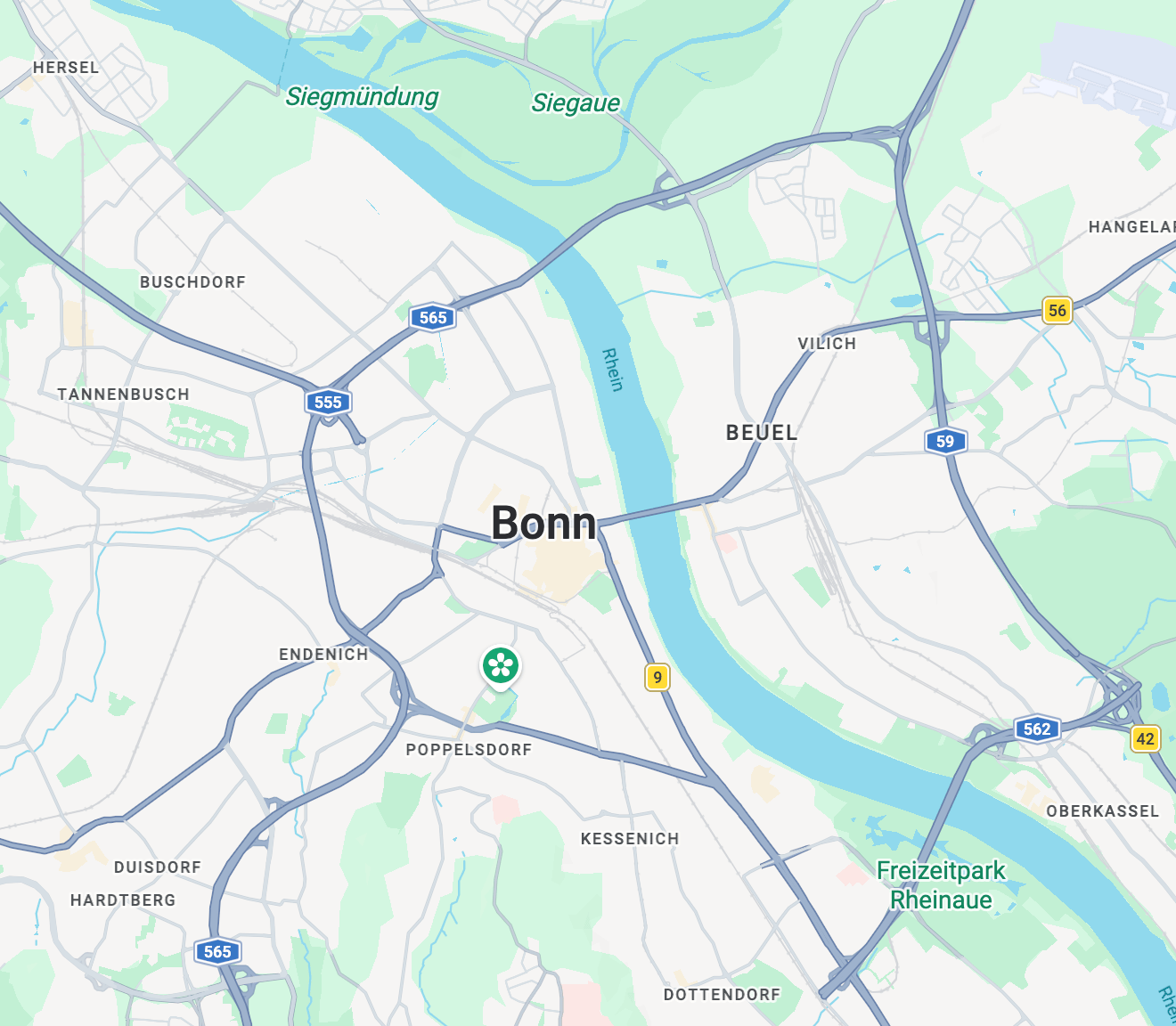 Immobilienmakler Bonn — HOLZLAR Immobilien
