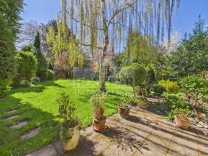 Blick in den Garten