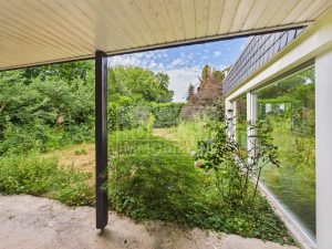 Blick in den Garten